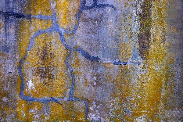 Jaynes Gallery 아티스트의 USA-Washington State-Fort Flagler State Park Abstract pattern of weathered wall작품입니다.
